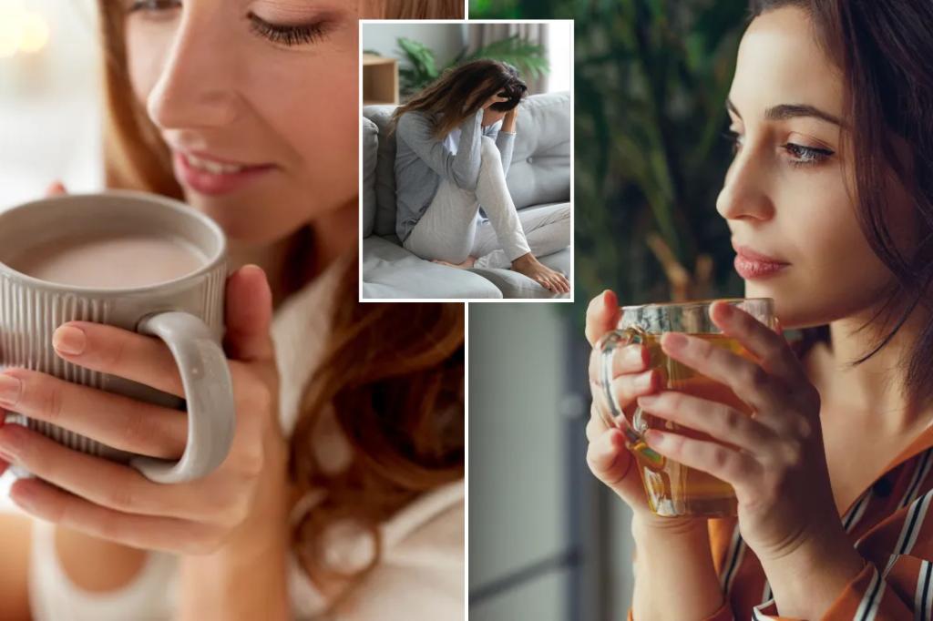 Cocoa, green tea can counteract the effects of junk food when stressed